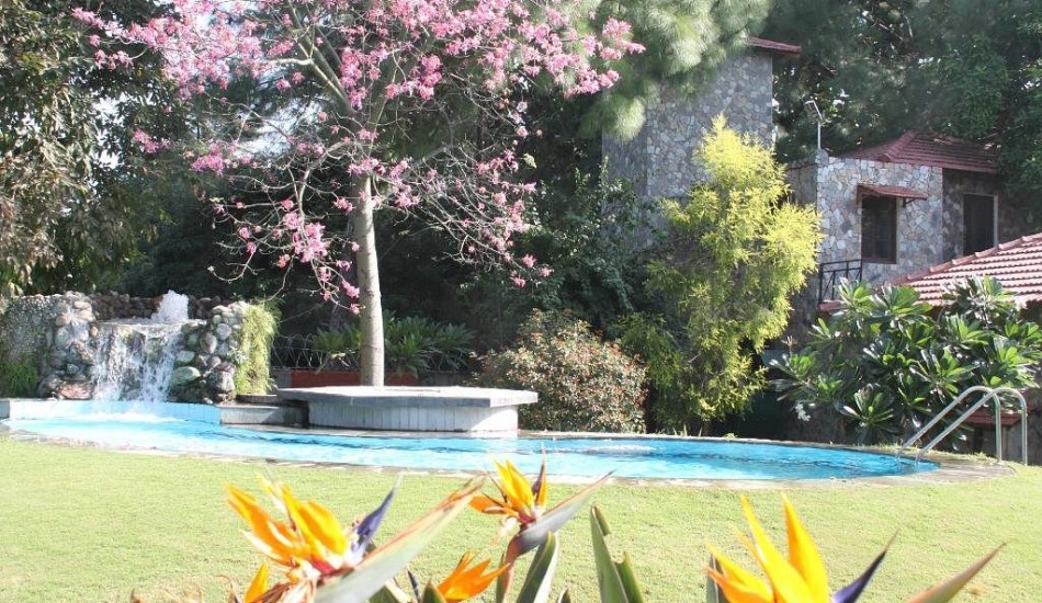 TREE OF LIFE  HOMESTEAD CORBETT COUNTRY